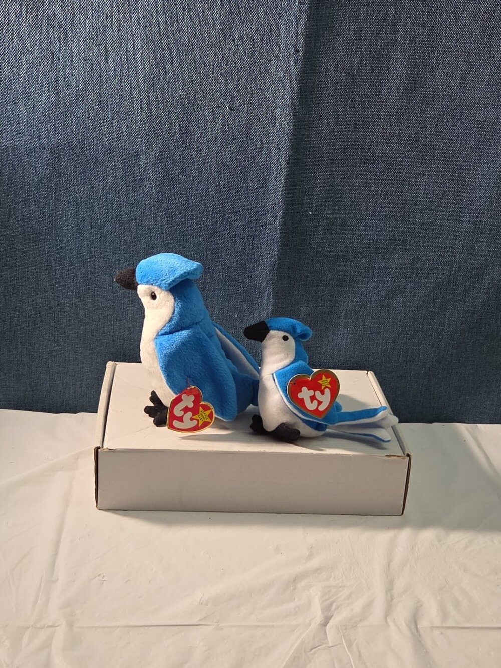 Ty Beanie Baby Rocket the Blue Jay Set Standard & Teenie Beanie 1998 NWT Bird - Picture 11 of 16